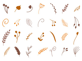Vector set of hand drawn botanical fall elements of twigs, berries, flowers, pine branches