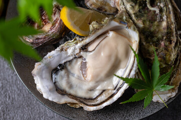 新鮮な生牡蠣と青紅葉