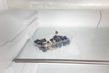 Moldy blueberries in a plastic basket inside a refrigerator. Food past its expiration date, spoiled...