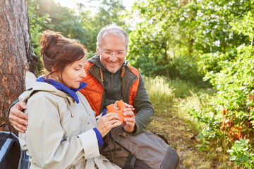 Senior man and woman exploring forest during vacation
