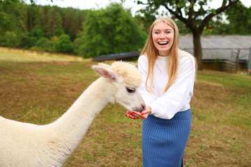 Happy woman feeding a lama in a farm.  © Olga