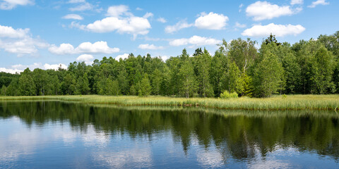 Fototapeta na wymiar Lake in green nature with blue sky and white clouds