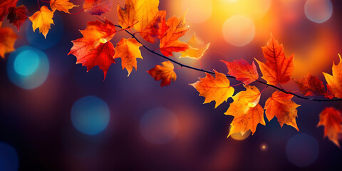 Naklejka na ściany i meble autumn leaves on a blurred background