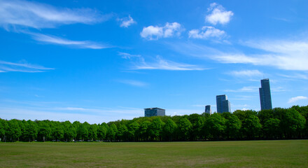 Fototapeta na wymiar City park on blue sky background