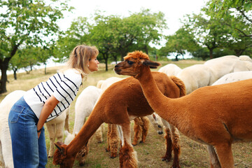 A girl having fun with lama and try to kiss © Olga