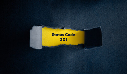 301 HTTP Status Code.
