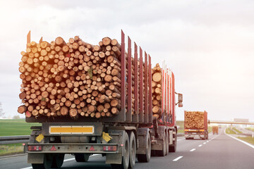 Commercial Timber Transport. Trucking Logs on a Summer Day along a Suburban Highway. Concept...
