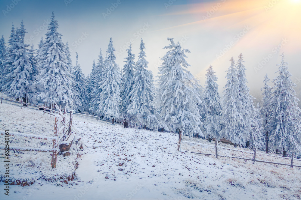 Poster fabulous winter scene of carpathian mountains with fresh snow covered fir trees. frosty outdoor scen