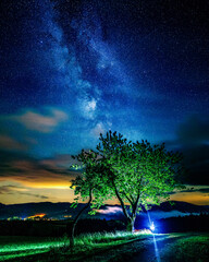Fototapeta na wymiar Milky way and tree