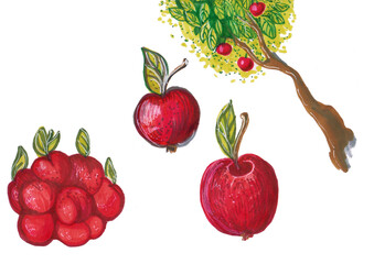 Set of red apples illustration. Marker drawing.