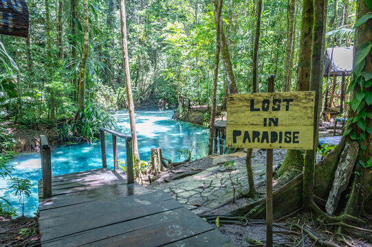The Kali Biru or Blue River looking like paradise on Waigeo island, Raja Ampat, West papua, Indonesia