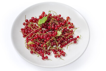 Freshly harvested redcurrant on dish on a white background