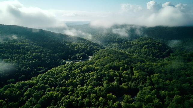 Forest in Bird eye's view, wonderful landscape, v62, created with generative AI technology