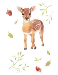 Autumn watercolor illustration with deer, acorns and leaves