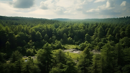 Forest in Bird eye's view, wonderful landscape, v8, created with generative AI technology
