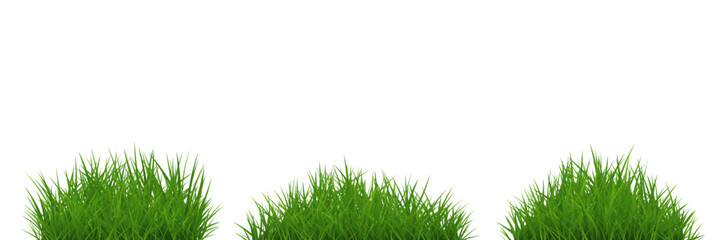 Fototapeta premium Green grass tuft set isolated on white background. Vector