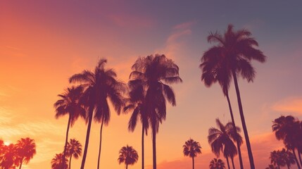 Naklejka na ściany i meble Vintage filtered palm tree silhouettes at sunset