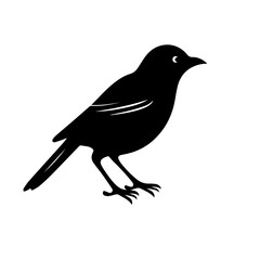 Bird Silhouette