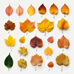 Fototapeta premium autumn leaves seamless pattern