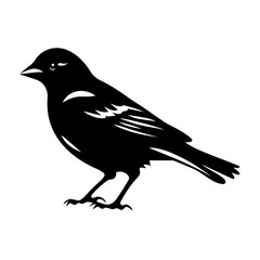 House Sparrow Silhouette