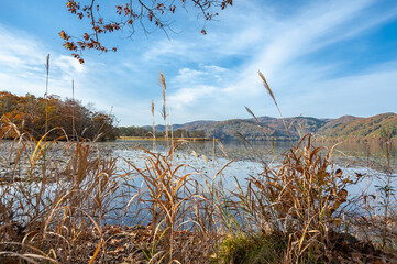 晩秋の大沼国定公園