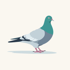 pigeon vector flat minimalistic asset isolated illustration