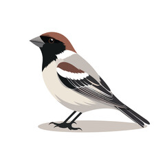 sparrow vector flat minimalistic isolated illustration