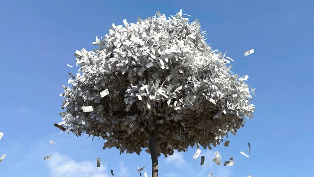 Dollar bill falling from the tree, Money falling from tree, Money fall from the tree.