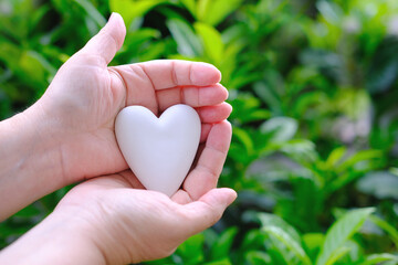 close-up female hands holding white heart model, natural green foliage background, Valentine's Day,...