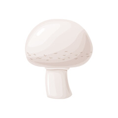 Fresh champignon. Ripe vegetable mushroom to eating, vegetarian gourmet.