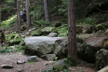 In the mountains, Carpathian mountains travel, beautiful nature background, traveling to Ukraine
