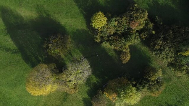 Autumn trees, drone shot, Bergell, Graubuenden, Switzerland, Europe