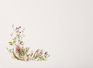 Obraz na płótnie Canvas dried flowers on white background