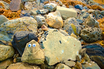 A smiling rock with googly eyes sits on a rocky sea shore