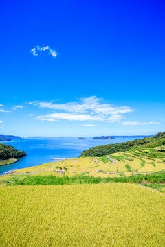 初夏の土谷棚田　長崎県松浦市 Doya Rice Terraces in early summer. Nagasaki Pref, Matsuura city.