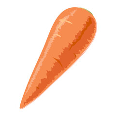 ニンジンのイラスト