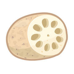 レンコンのイラスト