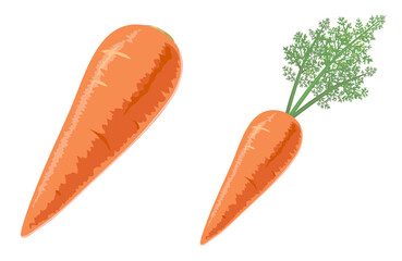 ニンジンのセットイラスト