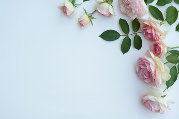 Flowers composition. Frame made of pink rose flowers on white background. Flower card. Holiday, congratulations, happy mothers day. International Women's day.Flat lay, top view, copy space.