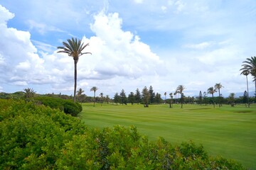 Real Club de Golf Sotogrande, golf course with high palm trees in Sotogrande, Mediterranean Sea,...
