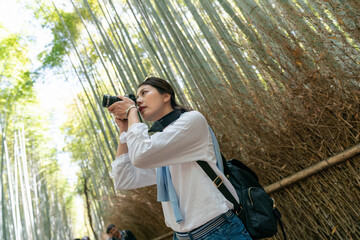 low dutch angle of asian Japanese woman traveler taking pictures of towering bamboos surrounding her in Arashiyama Bamboo Grove in Kyoto japan on sunny day