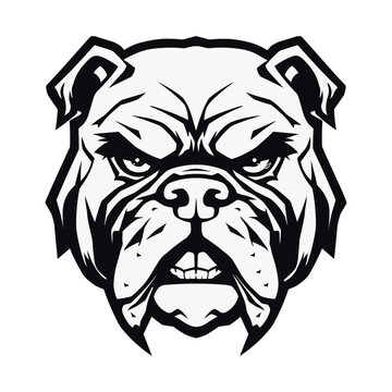 Bulldog head vector, isolated on white background.