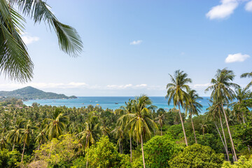 Obraz premium Tropical picturesque landscape panorama with palms, blue sky and view on sea horizon of paradise Koh Tao island in Thailand