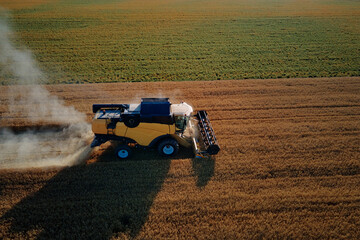 Combine harvester working in agricultural field. Harvest season