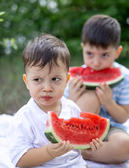 Adorable kids siblings boys eating fresh red watermelon sitting in garden or park on grass or blanket. funny face expression, dirty face with fruit juice. child kid cover face with one slice.