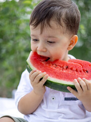 Adorable kids siblings boys eating fresh red watermelon sitting in garden or park on grass or blanket. funny face expression, dirty face with fruit juice. child kid cover face with one slice.