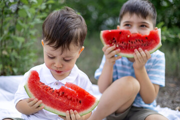 Adorable kids siblings boys eating fresh red watermelon sitting in garden or park on grass or blanket. funny face expression, dirty face with fruit juice. child kid cover face with one slice.