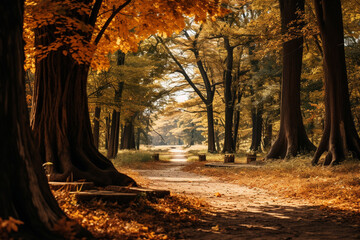 beauty of a temperate deciduous forest in autumn, with trees showcasing colorful foliage Generative AI