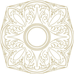Vector sketch illustration design baground pattern rosette detailed classic roman greek floral style