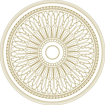 Vector sketch illustration design baground pattern rosette detailed classic roman greek floral style